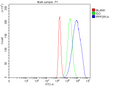 Anti-PPP2R1A Antibody Picoband®