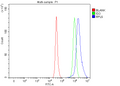 Anti-RPL5 Antibody Picoband®