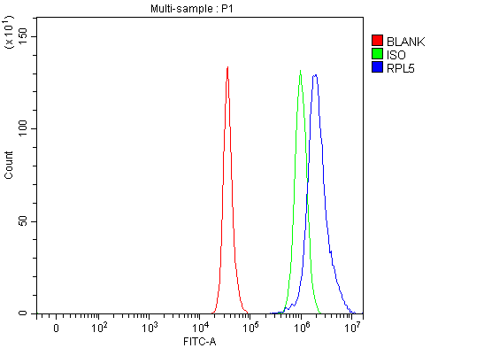 Anti-RPL5 Antibody Picoband®