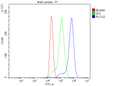 Anti-PLCG 2/PLCG2 Antibody Picoband®