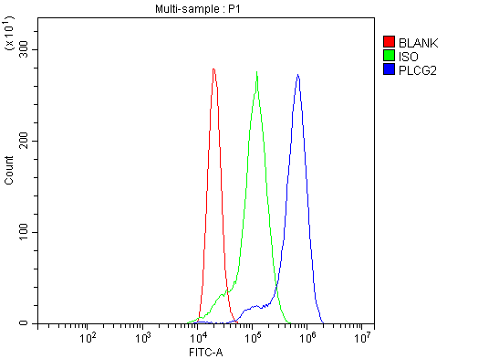 Anti-PLCG 2/PLCG2 Antibody Picoband®