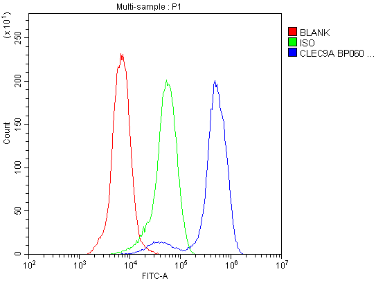 Anti-CLEC9A Antibody