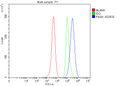 Anti-PASK Antibody