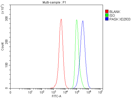 Anti-PASK Antibody