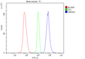 Anti-HMGN2 Antibody Picoband®