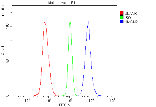 Anti-HMGN2 Antibody Picoband®