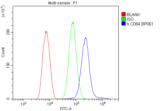 Anti-CD84 Antibody