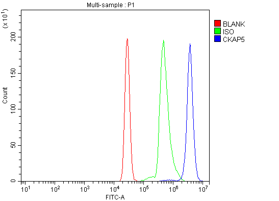Anti-ch TOG/CKAP5 Antibody Picoband®