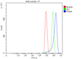 Anti-ERp72/PDIA4 Antibody Picoband®