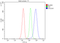 Anti-Golgin 97/GOLGA1 Antibody Picoband®
