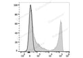 APC Anti-Mouse CD90 Antibody[M5/49.4.1] – Figure 1 of 2