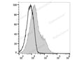 PE/Elab Fluor® 594 Anti-Mouse CD86 Antibody[GL-1] – Figure 3 of 5