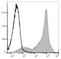 APC Anti-Rat CD44H Antibody[OX-49] – Figure 1 of 2