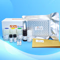 TAU pT217 ELISA KIT