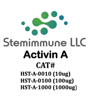 Recombinant Human Activin A Protein