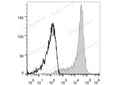 APC Anti-Mouse CD62L Antibody[MEL-14] – Figure 1 of 2