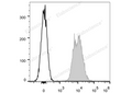 APC Anti-Mouse CD45.2 Antibody[104.2] – Figure 1 of 2
