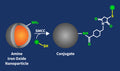 Amine Iron Oxide Nanoparticles Conjugation Kit – Figure 1 of 1