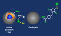 Amine Quantum Dots Conjugation Kit – Figure 1 of 1