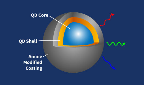 Amine Quantum Dots