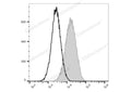 PE/Elab Fluor® 594 Anti-Mouse CD80 Antibody[16-10A1] – Figure 3 of 5