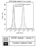 FluoSite™ Anti-GITR Antibody, PE-labeled – Figure 1 of 3