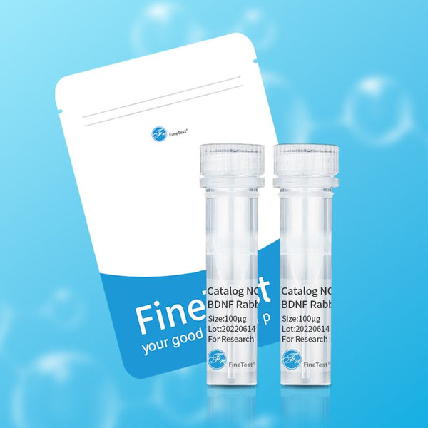 FAM3D antibody – Figure 1 of 2