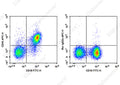APC Anti-Mouse CD40 Antibody[FGK4.5/FGK45] – Figure 1 of 2