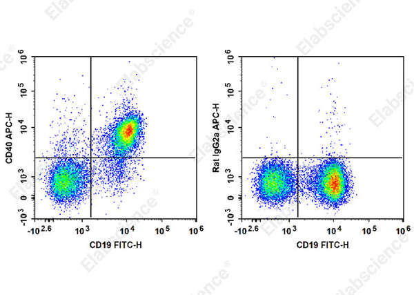APC Anti-Mouse CD40 Antibody[FGK4.5/FGK45] – Figure 1 of 2