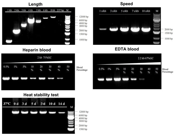 Blood Advanced Direct PCR Kit