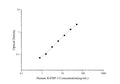 Uncoated Human IGFBP-3 (Insulin-like Growth Factor Binding Protein 3) ELISA Kit – Figure 1 of 4