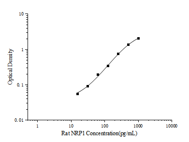 Rat NRP1 (Neuropilin 1) ELISA Kit – Figure 1 of 3