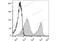 Elab Fluor® 488 Anti-Mouse CD90.2/Thy1.2 Antibody[30H12] – Figure 3 of 5