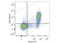 PE/Cyanine7 Anti-Mouse CD23 Antibody[B3B4] – Figure 1 of 2