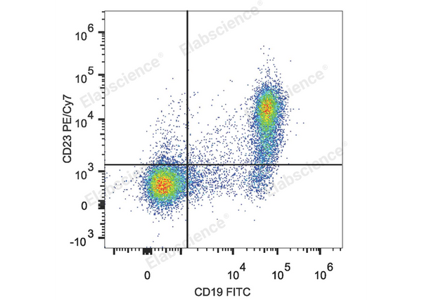 PE/Cyanine7 Anti-Mouse CD23 Antibody[B3B4] – Figure 1 of 2