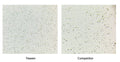 Concanavalin A-Coated Magnetic Beads