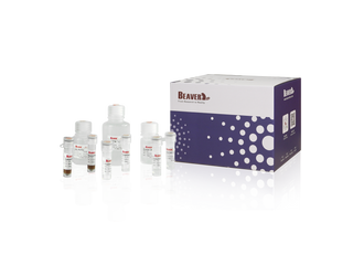 BeaverBeads Circulating DNA Kit