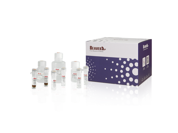 BeaverBeads Circulating DNA Kit box with buffer bottles and bead suspension - Figure 1 of 1