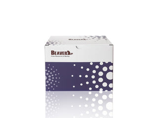 BeaverBeads GSH Magnetic Beads for GST Fusion Protein Purification