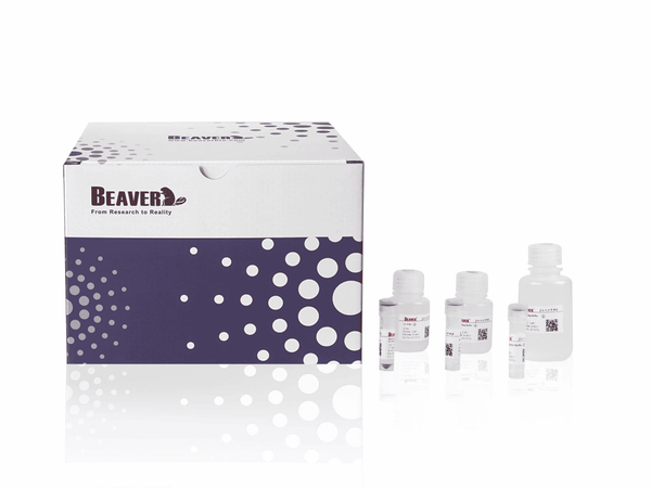 BeaverBeads Protein A/G Immunoprecipitation Kit box and buffer bottles - Figure 1 of 2