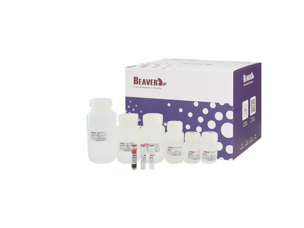 BeaverBeads Stool DNA Kit box with buffer bottles and bead suspension - Figure 1 of 1