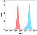 PE-conjugated Anti-Trop2 (sacituzumab biosimilar) mAb – Figure 1 of 1