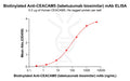Biotinylated Anti-CEACAM5 (labetuzumab biosimilar) mAb – Figure 1 of 1