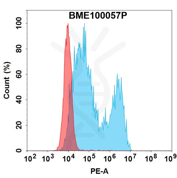 PE-conjugated Anti-HER3 (patritumab biosimilar)mAb – Figure 1 of 1