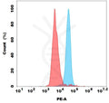 PE-conjugated Anti-GUCY2C(indusatumab biosimilar) mAb – Figure 1 of 1