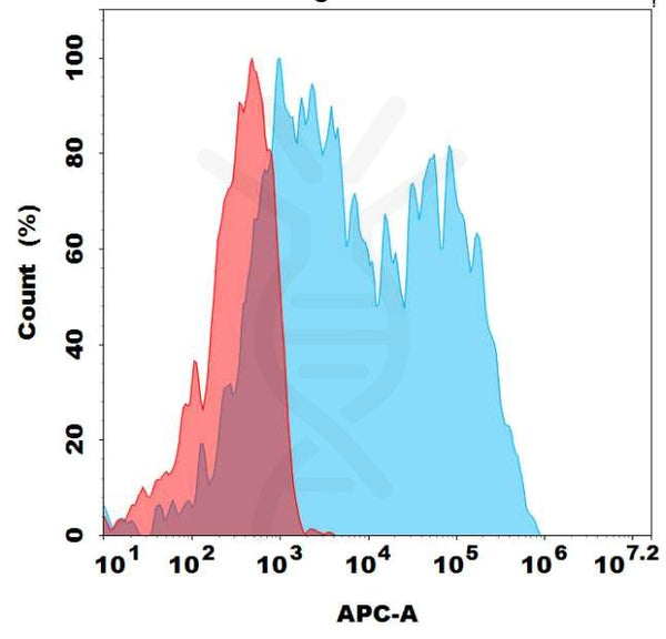 Biotinylated Anti-TSHR (K1-70) mAb – Figure 1 of 1