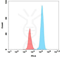 PE-conjugated Anti-Nectin-4(enfortumab biosimilar) mAb – Figure 1 of 1