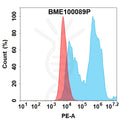 PE-conjugated Anti-FCRL5(cevostamab biosimilar without anti-CD3 portion) mAb – Figure 1 of 1