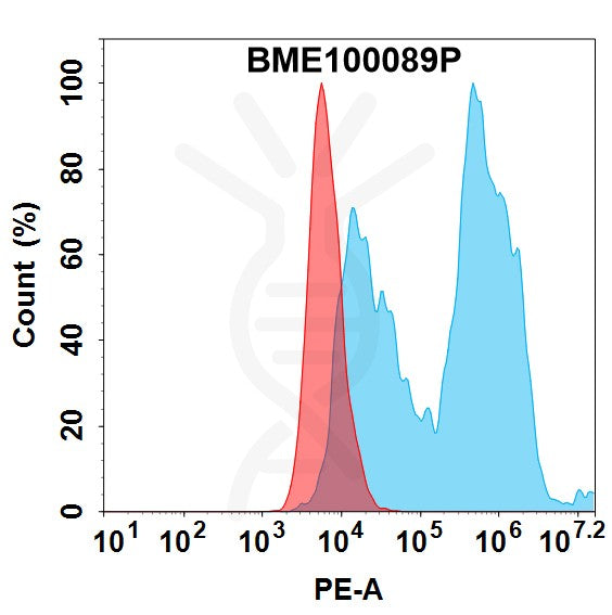 PE-conjugated Anti-FCRL5(cevostamab biosimilar without anti-CD3 portion) mAb – Figure 1 of 1