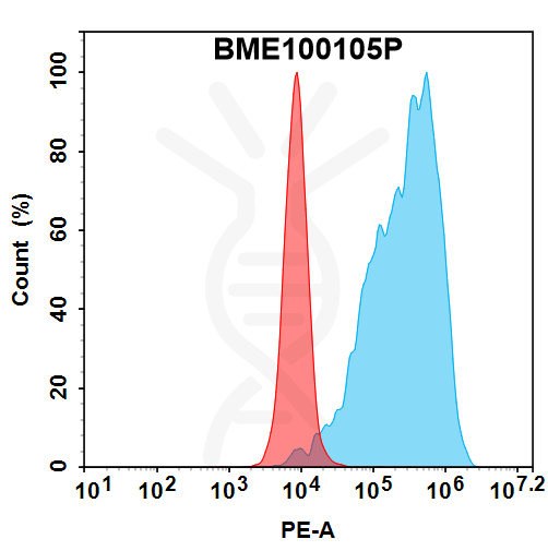 PE-conjugated Anti-CCN2(pamrevlumab biosimilar) mAb – Figure 1 of 1